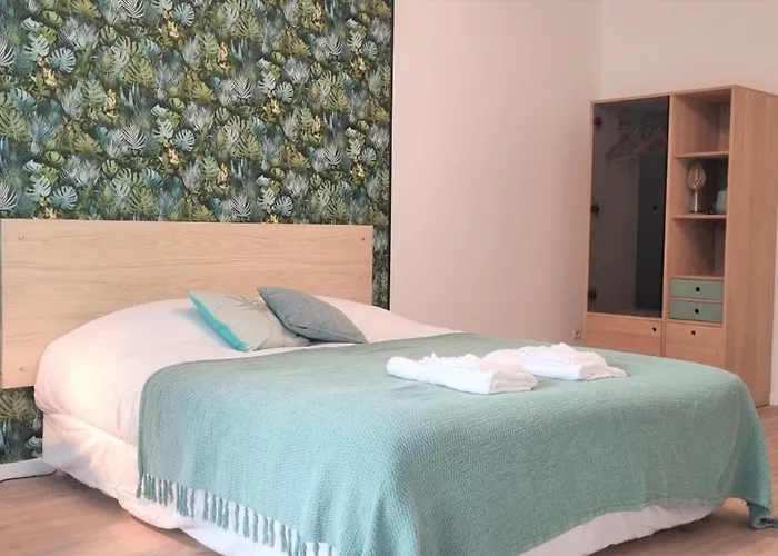 Grand Studio Avec Terrasse Et Parking - Vieux- Lille - Blaise